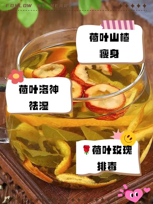 荷叶配什么可以减肥效果最好