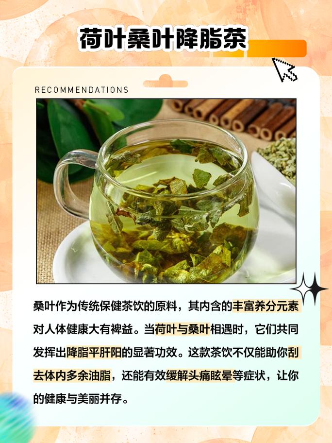 荷叶配什么减肥最好