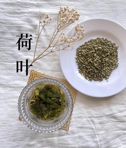 荷叶配什么减肥最好