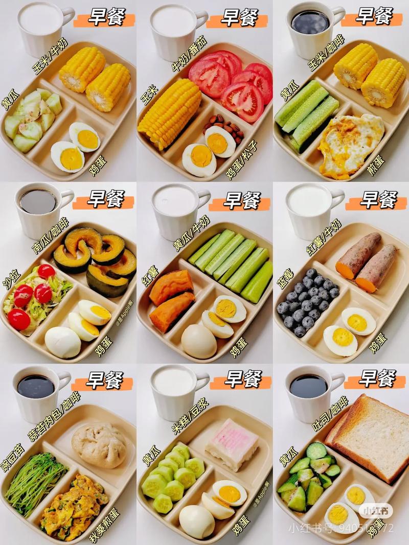 减肥早餐和午餐吃什么