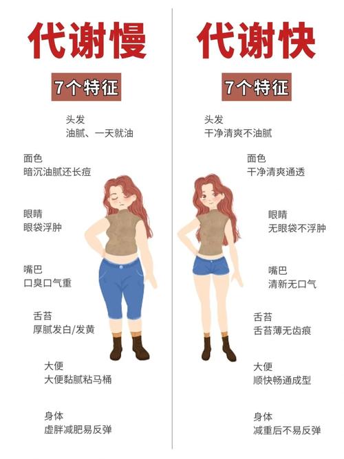 易瘦体质是什么