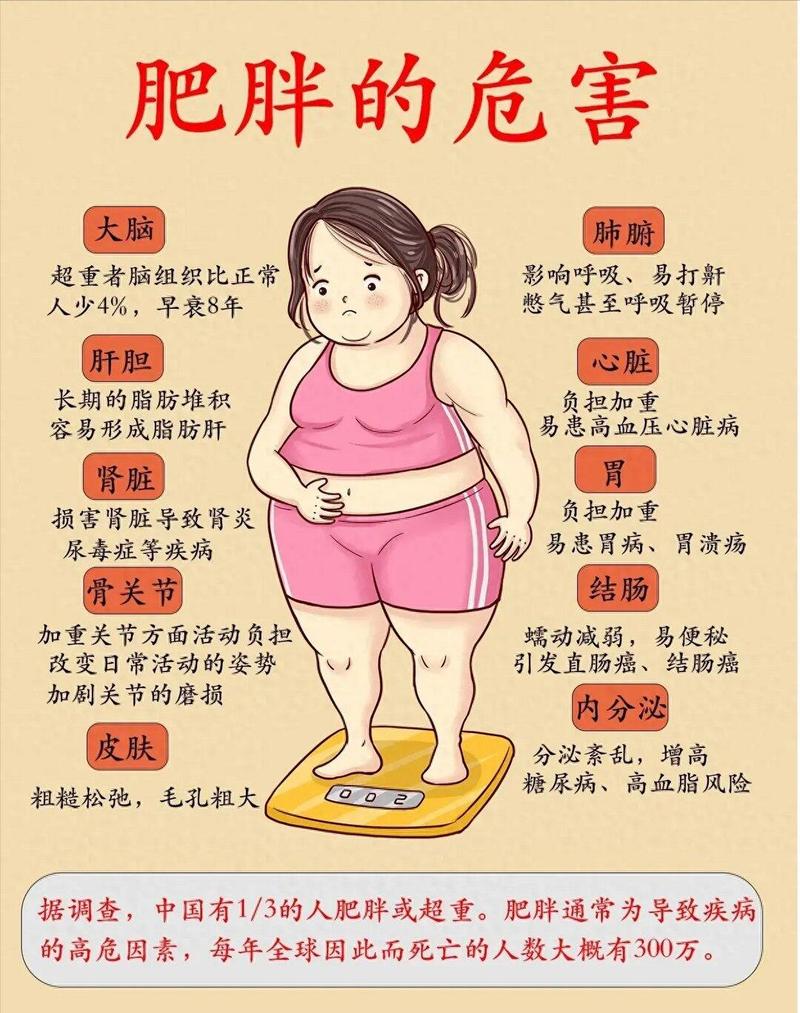 什么原因引起肥胖