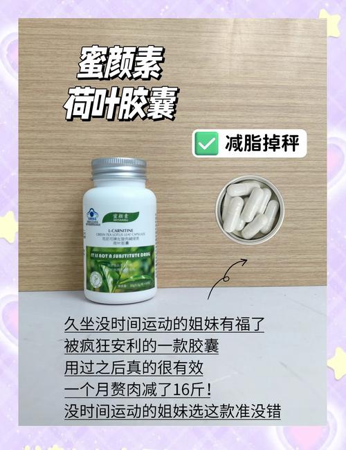 减肥药是什么成分