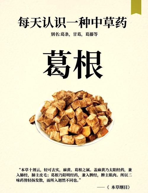 喝葛根有什么好处