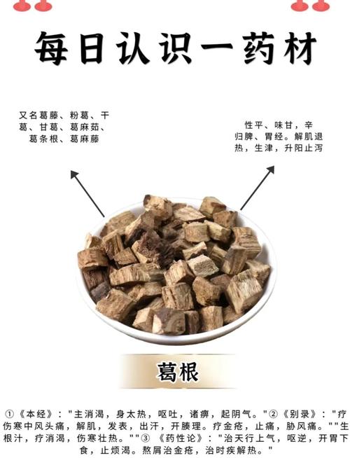 喝葛根有什么好处