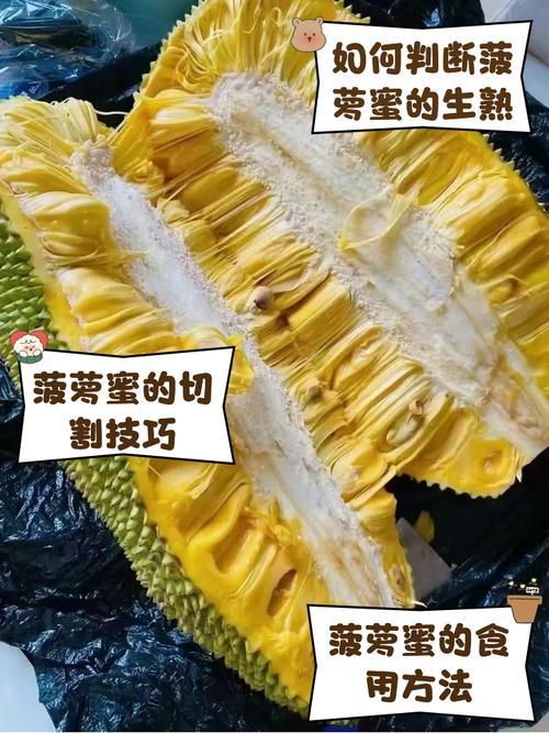 菠萝蜜什么口感