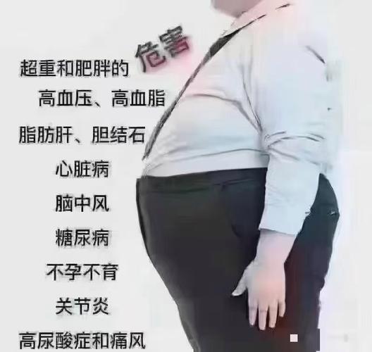 人为什么会肥胖