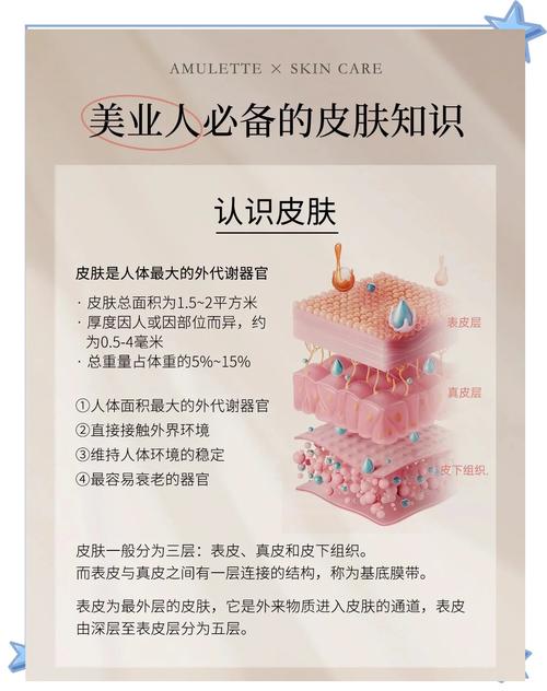 美容主要学什么