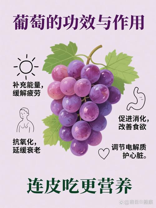 葡萄有什么维生素