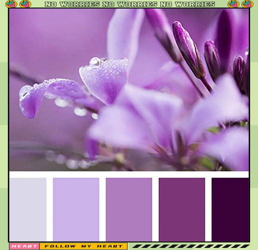 紫色用什么颜色调