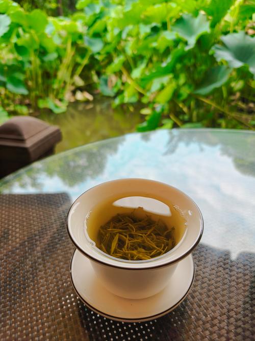 饭后喝什么茶好