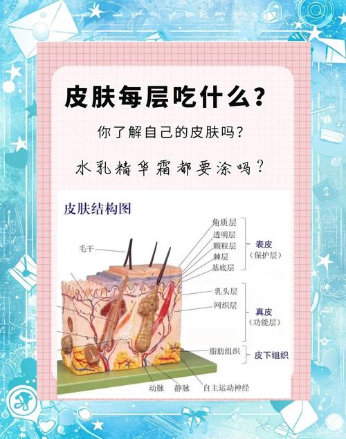 护肤品吸收最好的时间