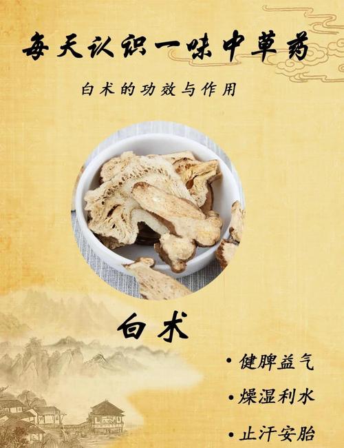 什么中药治白发