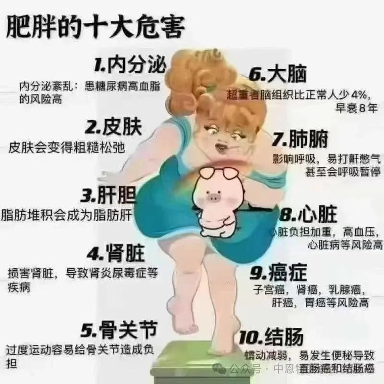 人为什么胖的原因