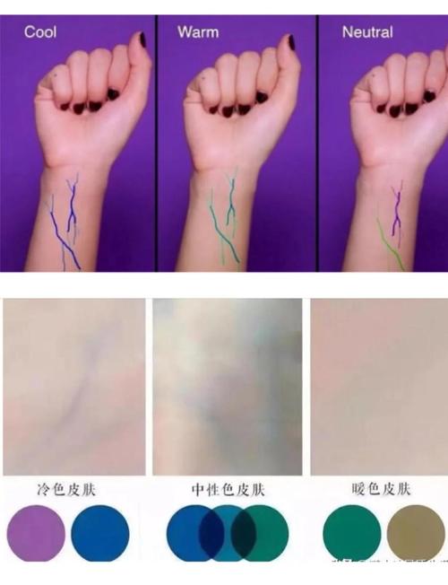 冷皮适合什么颜色