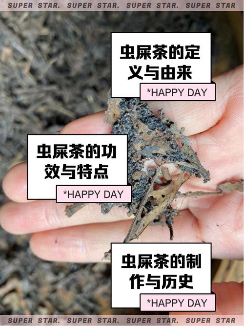 大便干喝什么茶