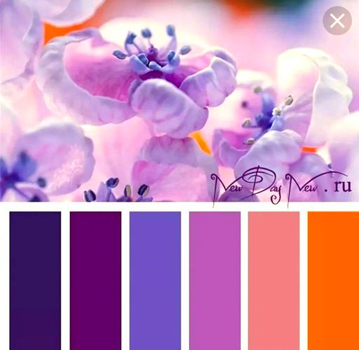 浅紫色是什么颜色