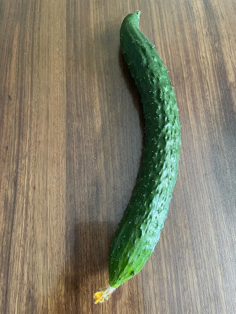 黄瓜什么样的好