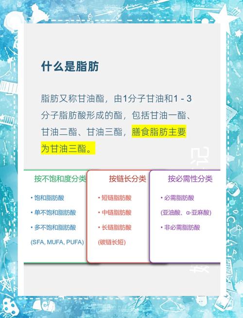 脂肪是什么组成的