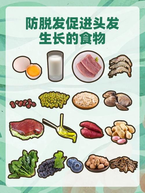 什么食物防脱发