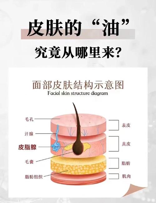 皮肤油是什么原因