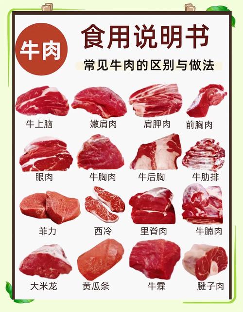 减肥为什么吃牛肉