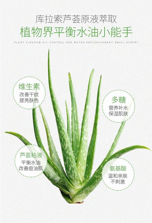 芦荟洗面奶有什么功效