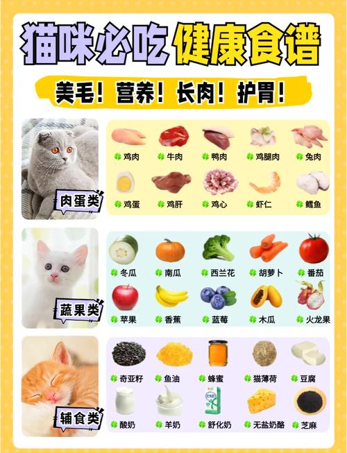 猫咪可以吃什么食物