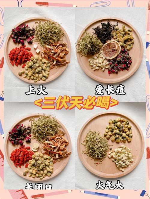 什么茶排毒祛痘