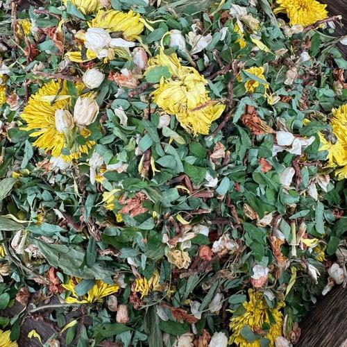 什么茶排毒祛痘