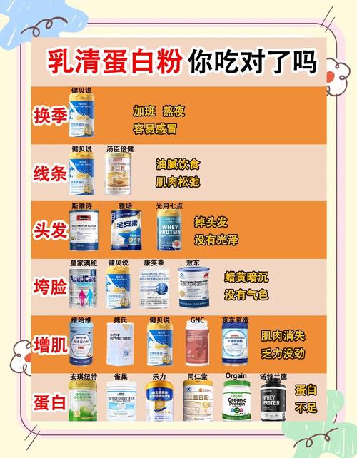 补充蛋白质吃什么好