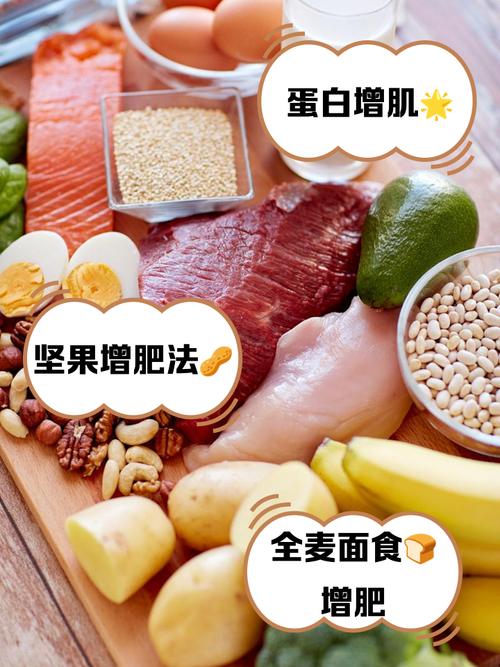 吃什么会长脂肪