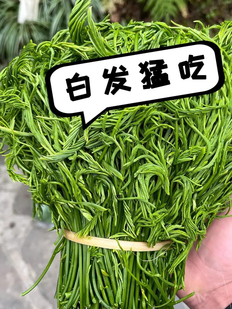 吃什么让头发变黑