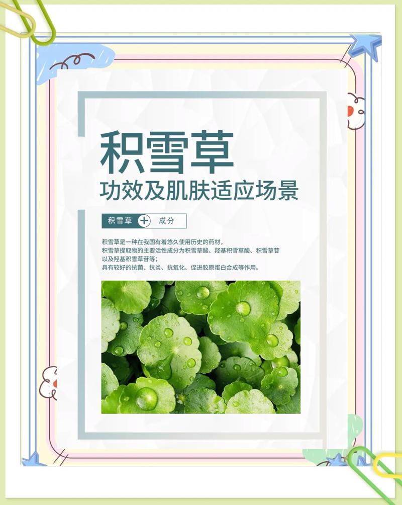 积雪草提取物的护肤品