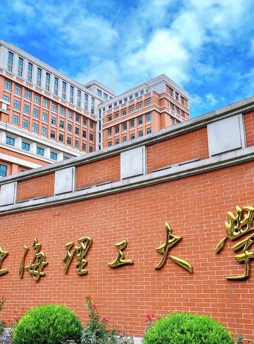 上海什么大学好