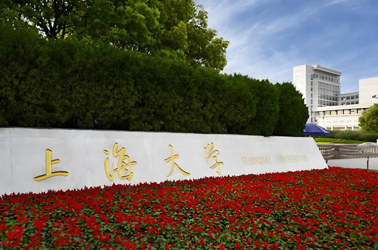 上海什么大学好