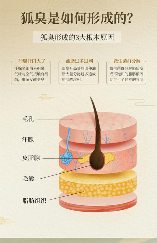 腋臭是什么原因