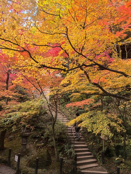 秋天是什么色的