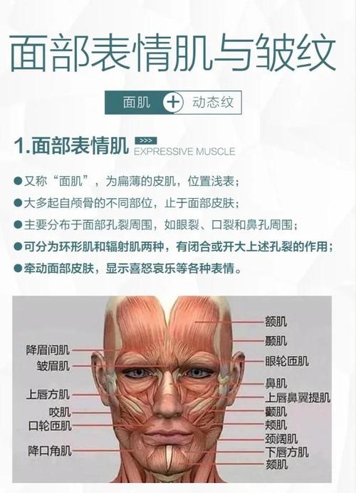 美肌是什么意思