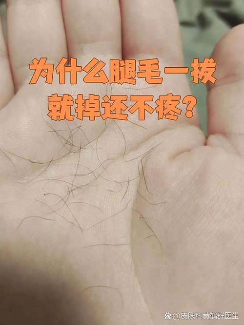为什么会掉腿毛