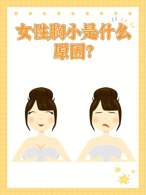 胸小是为什么