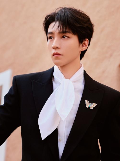 王俊凯发型叫什么