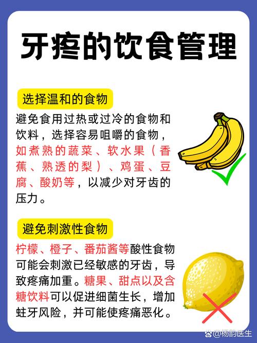 牙齿松动吃什么好