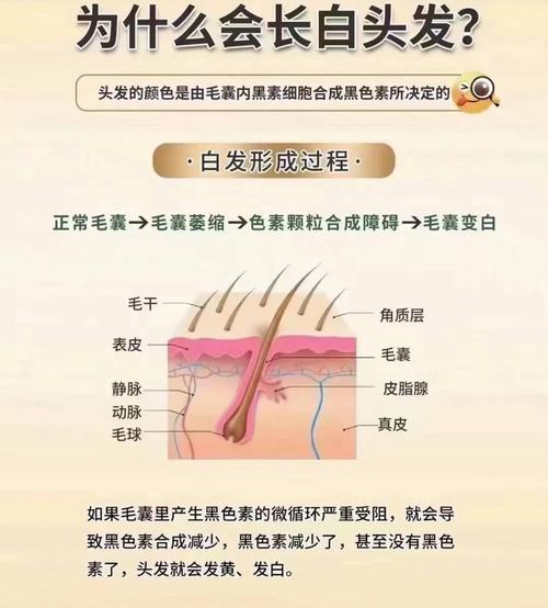 为什么头发长不长