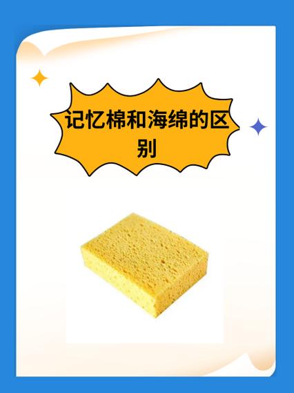 海绵为什么叫海绵
