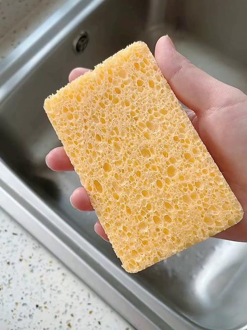 海绵为什么叫海绵