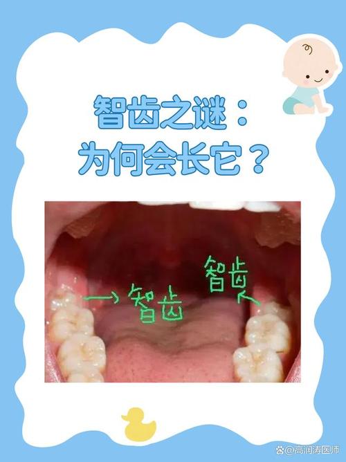 长智齿什么症状