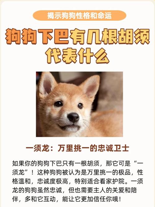 胡须有什么作用