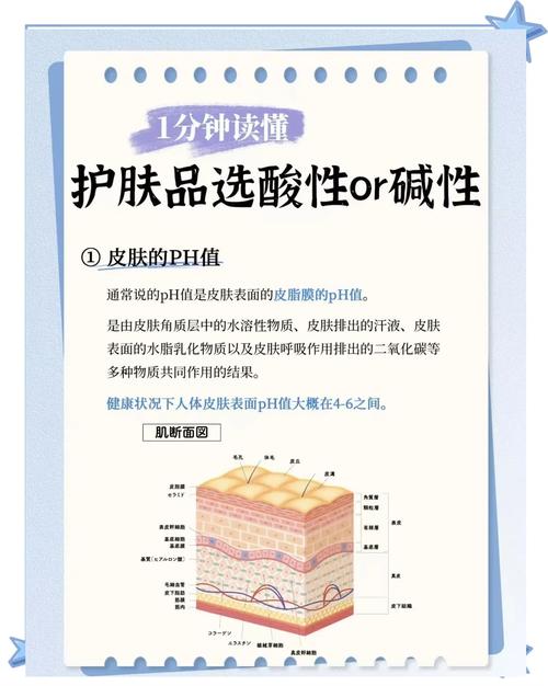 碱性洗面奶好还是酸性