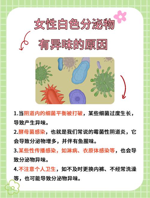 白带异味什么原因